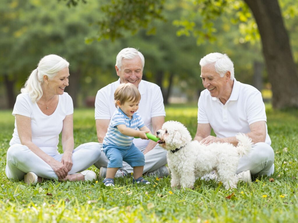 A bilire szoktatás aranyszabályai: türelem, időzítés és pozitív megerősítés