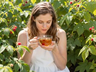 Hogyan és mikortól idd a málnalevél teát a szülés megkönnyítéséért?