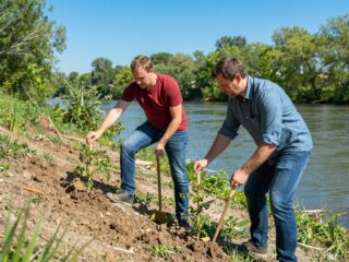 Melyik segíti jobban a regenerációt: a gátvédelem vagy a gátmetszés?