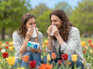 Allergiás szezon túlélőkalauz: tippek és trükkök a szénanátha ellen