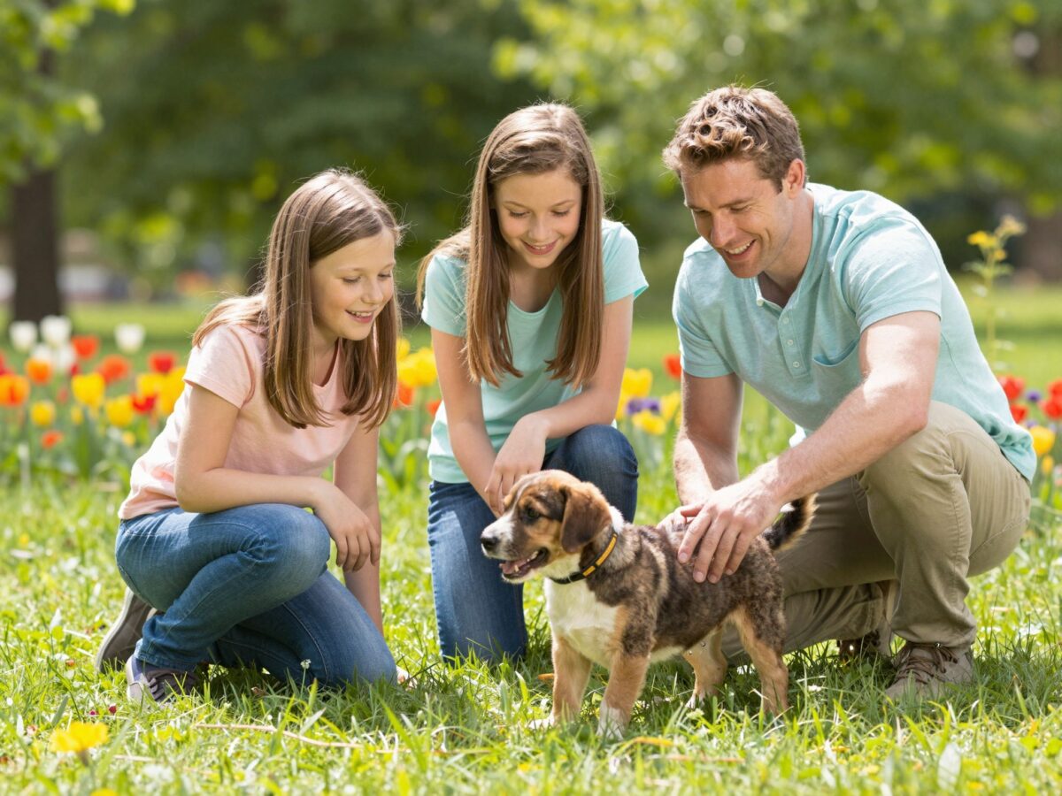 Mielőtt kutyát vennél a gyereknek: a felelős állattartás alapjai
