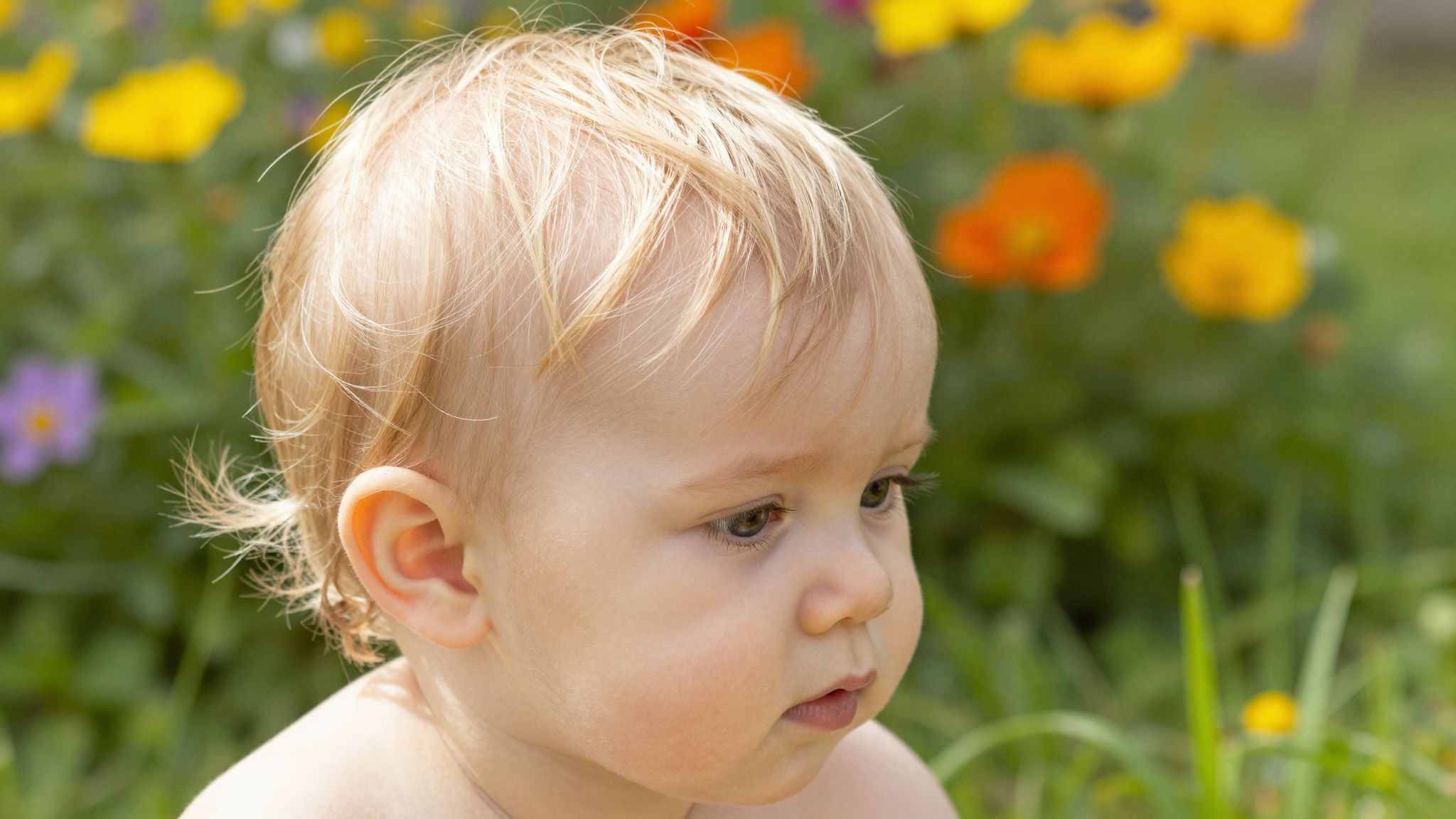 A hajszálak szerkezete meghatározza a haj színének fényességét.