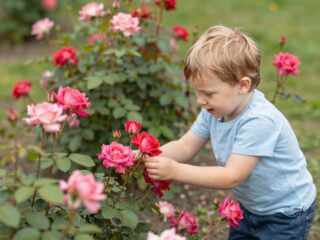 A türelem rózsát teremt: hagyd, hogy a gyermek a saját ütemében fejlődjön