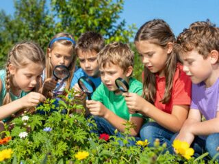 A világ megismerése: a gyermeki kíváncsiság és a tudásvágy végtelen forrása