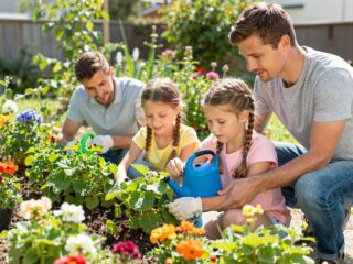 Hogyan védekezz a kullancsok ellen a kertben? Növények és praktikák