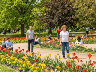 Hogyan látja a világot egy színtévesztő? Minden, amit erről a látászavarról tudni kell