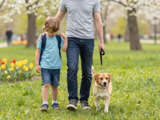 Több, mint fizikai sérülés: a kutyatámadás hosszú távú pszichés következményei