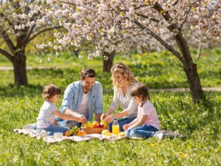 Vitaminkészletek feltöltése tavasszal: mire figyeljünk a gyerekeknél és felnőtteknél?