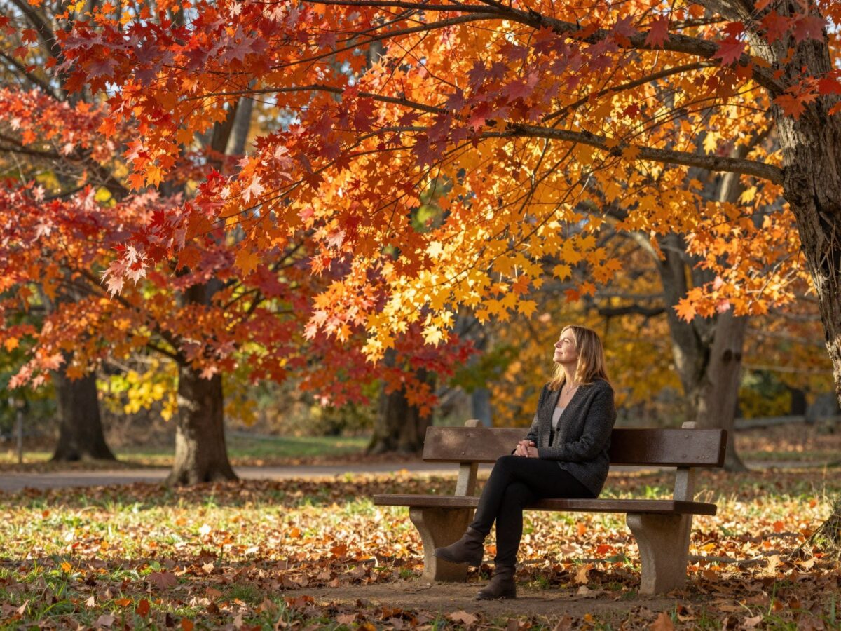 Találd meg a szépséget az őszben: így használd a természetet a mentális feltöltődésre