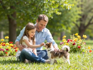 Apák és lányaik: neurológiai különbségek, érzelmi válaszok