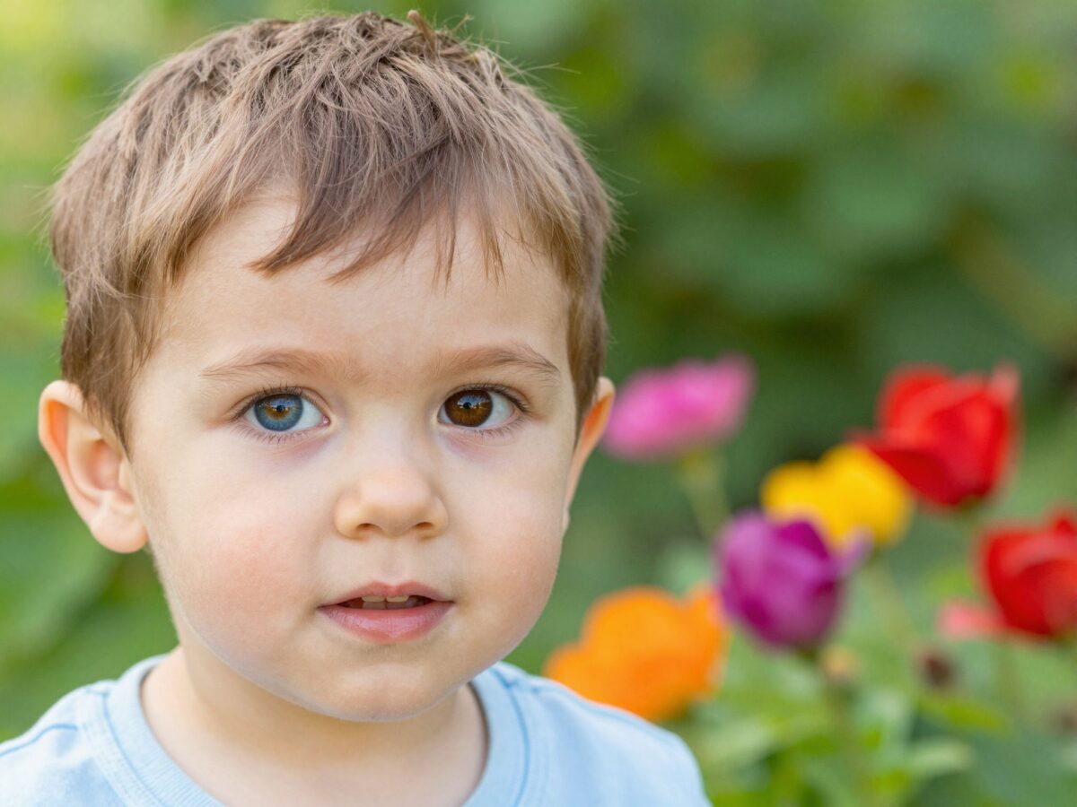 Kék szemű babából barna szemű kisgyerek: A szemszín kialakulásának folyamata