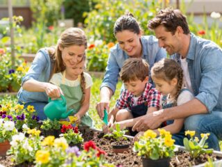A babültetés mint családi program: hogyan vonjuk be a gyerekeket a kertészkedésbe?