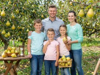 Alma, körte, homokóra: a testalkat öröklődésének tudományos háttere