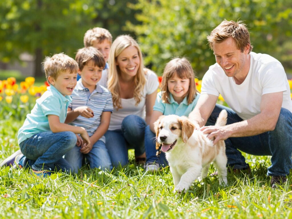 Hogyan válasszunk családi kutyát? A legfontosabb szempontok gyerek mellé
