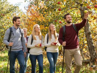 Immunerősítés ősszel: tippek, hogy elkerüljétek a leggyakoribb betegségeket