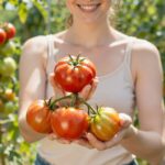 A paradicsom bőrvédő hatása: hogyan segíthet a melanoma megelőzésében?