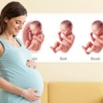 A pocaklakó naplója: így fejlődik és ezt csinálja a baba a hasadban hétről hétre