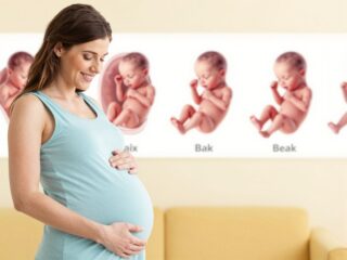 A pocaklakó naplója: így fejlődik és ezt csinálja a baba a hasadban hétről hétre