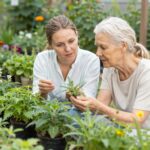 Nem minden gyógynövény ártalmatlan: melyek lehetnek veszélyesek babatervezéskor?