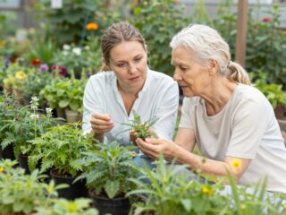 Nem minden gyógynövény ártalmatlan: melyek lehetnek veszélyesek babatervezéskor?