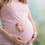 Mi történik odabent? A baba fejlődése lépésről lépésre az első trimeszterben