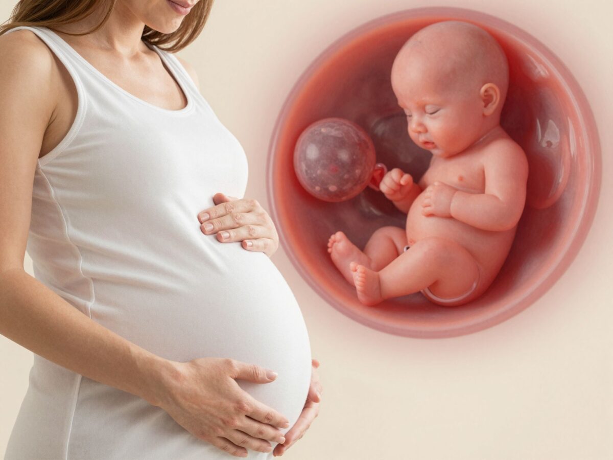 Miért fontos a méhlepény állapota és hogyan befolyásolja a szülést?