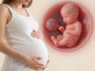 Miért fontos a méhlepény állapota és hogyan befolyásolja a szülést?