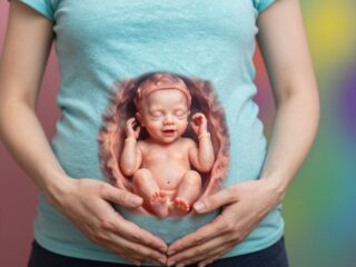 A 8. terhességi hét csodái: karok, lábak és az első mozdulatok