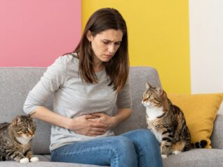 Erős menstruáció előtti tünetek gyötörnek? Lehet, hogy a macskád okozza a problémát