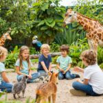 Kreatív szerepjáték: az állatkertesdi fejlesztő hatásai a gyerekekre