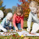 Mit kezdjünk az összegyűjtött makkal? 5 szuper játék- és dekorötlet