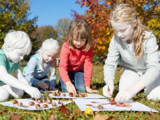 Mit kezdjünk az összegyűjtött makkal? 5 szuper játék- és dekorötlet