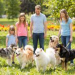 A 10 leginkább gyerekbarát kutyafajta: Melyik illik a ti családotokba?