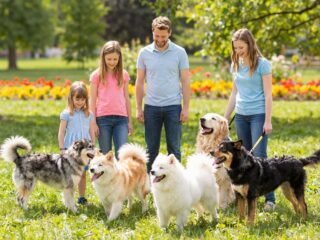 A 10 leginkább gyerekbarát kutyafajta: Melyik illik a ti családotokba?