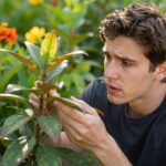 Miért barnul a növény leveleinek a vége? Ismerd fel a jeleket és mentsd meg kedvencedet