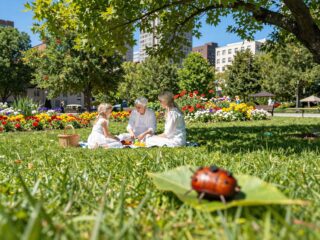 Ne csak az erdőben vigyázz: a kullancsok a városi zöld területeken is támadnak