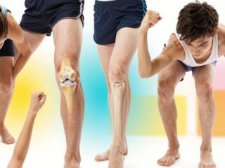 Hogyan működnek az ízületeink? Ismerd meg a legfontosabb ízülettípusokat