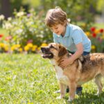 Kutyaharapás megelőzése: hogyan tanítsd meg a gyerekednek a helyes viselkedést az állatokkal?