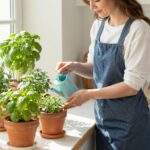 Így nevelj illatos fűszernövényeket a konyhaablakban: tippek az ültetéstől a gondozásig