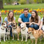 Miért vonzódunk a nyomott orrú kutyákhoz? A tudományos háttér