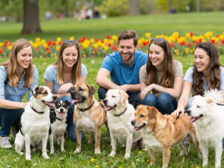 Miért vonzódunk a nyomott orrú kutyákhoz? A tudományos háttér