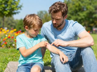 Szúnyogcsípés-allergia: mikor gyanakodj és mikor fordulj orvoshoz?